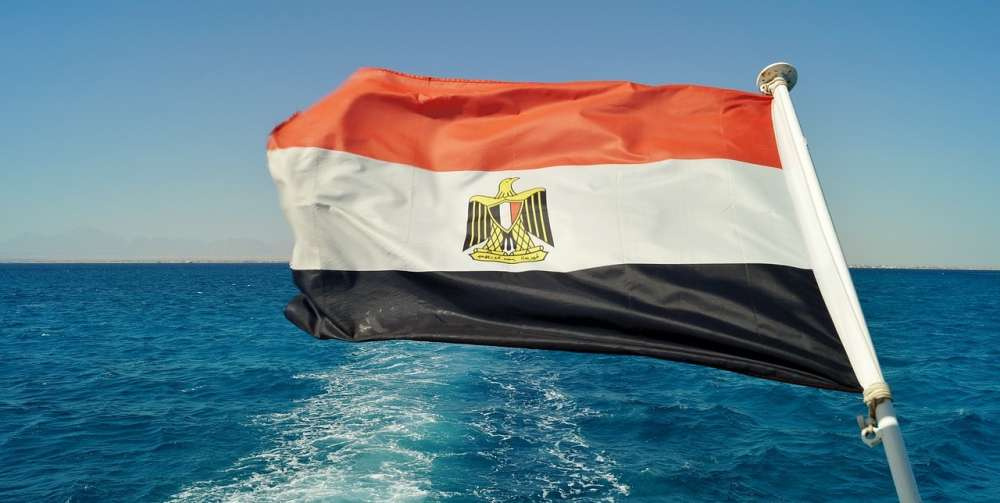 Египетские экспортеры цитрусовых испытывают сложности с доступом на российский рынок