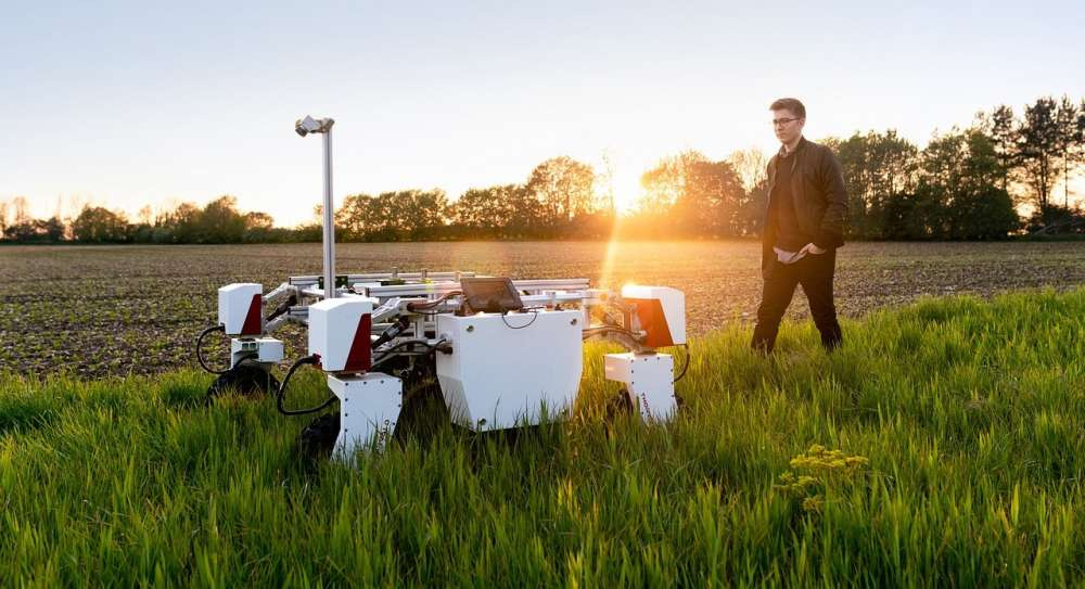 Объем рынка роботов для борьбы с сорняками вырастет в 11 раз за пять лет
