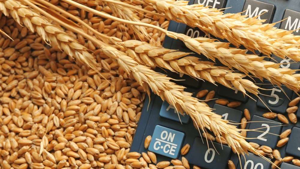 ФГБУ "Центр Агроаналитики" опубликовало еженедельный обзор рынка зерновых