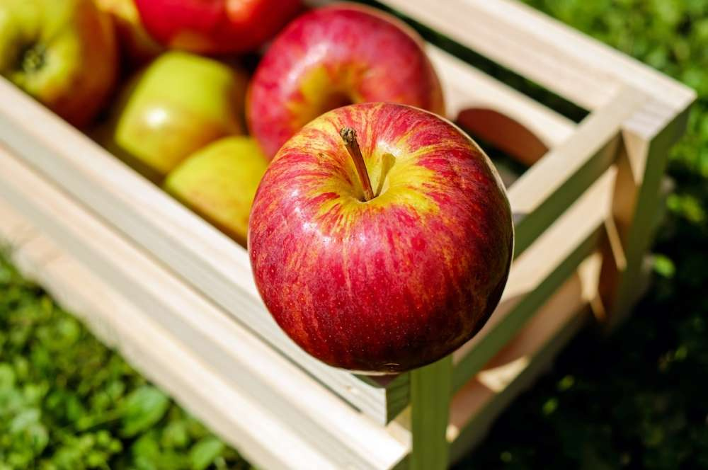 Новое покрытие для фруктов и овощей позволяет увеличить срок хранения в два раза