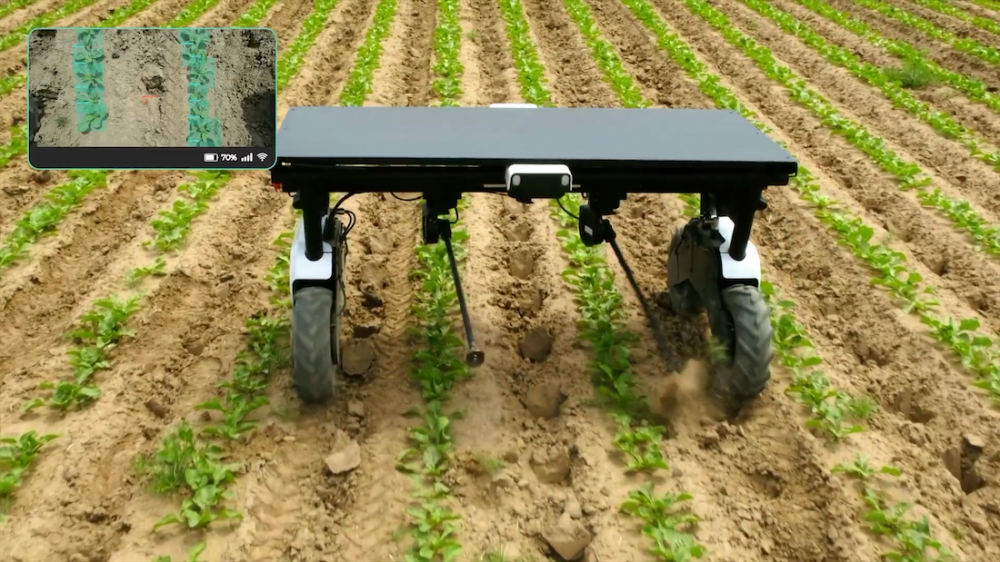KWS Seeds и Aigen сотрудничают в разработке роботизированных средств борьбы с сорняками
