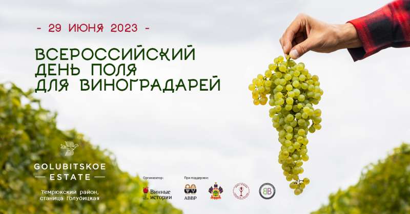 Всероссийский день поля для виноградарей