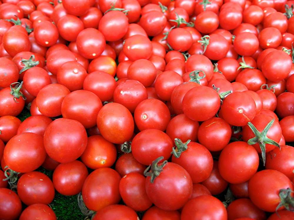 Цены на томаты в июле упали в 2 раза по сравнению с прошлым годом