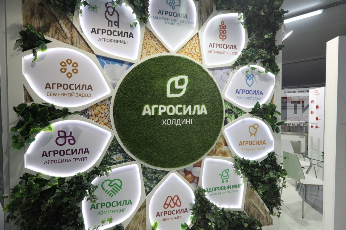 Холдинг "Агросила" инвестирует в собственные проекты 1,5 млрд рублей