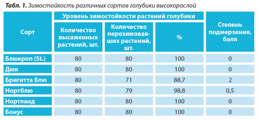 1. Зимостойкость сортов голубики высокорослой.png