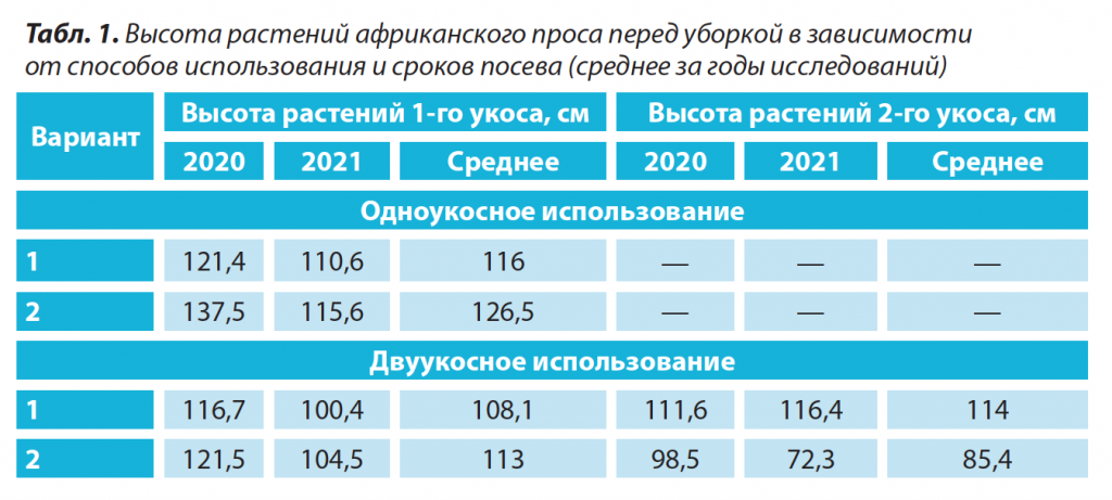 африканское просо 1.png