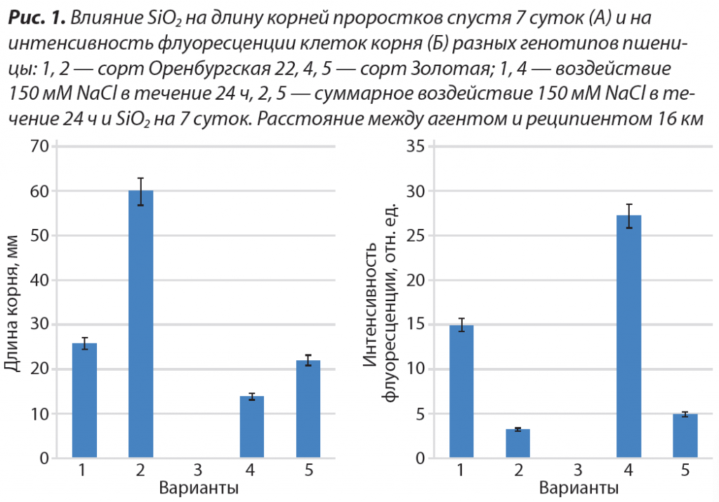 Влияние диоксида кремния на длину корней.png