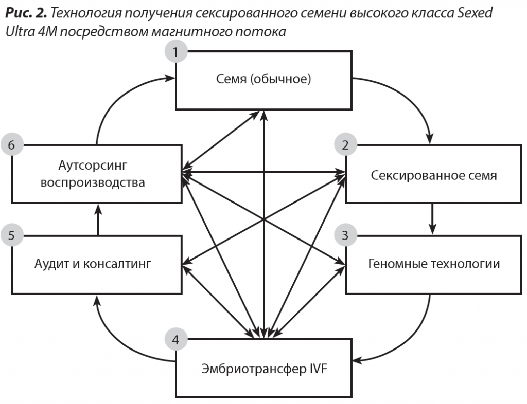 FSBI «RST»