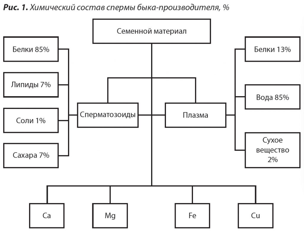 1. Химический состав спермы быка-производителя.png