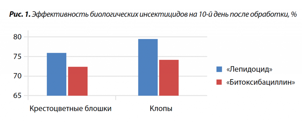 1. Эффективность биологических инсектицидов на капусте.png