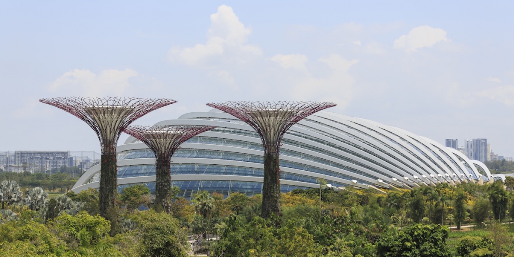 цветочный купол сингапур