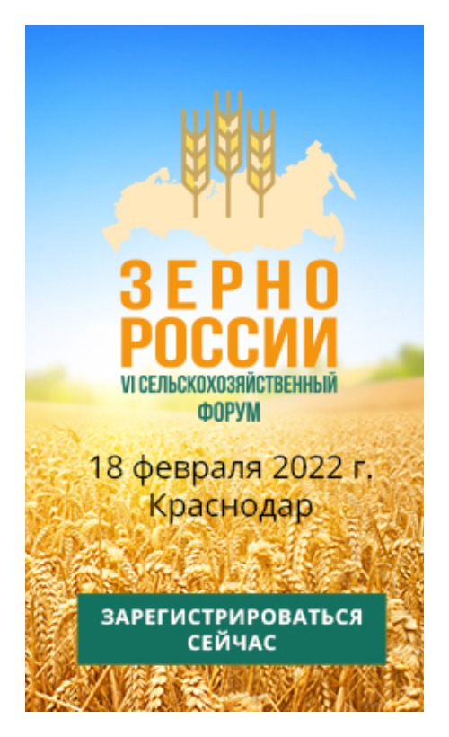 зерно россии 2022
