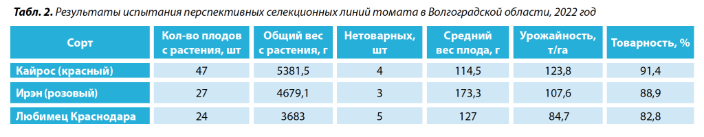 сорт томата кайрос 2.png