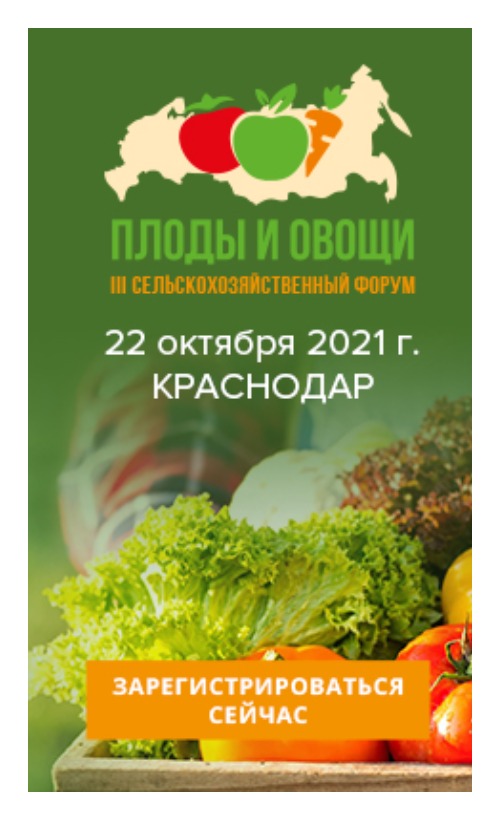 плоды и овощи 2021