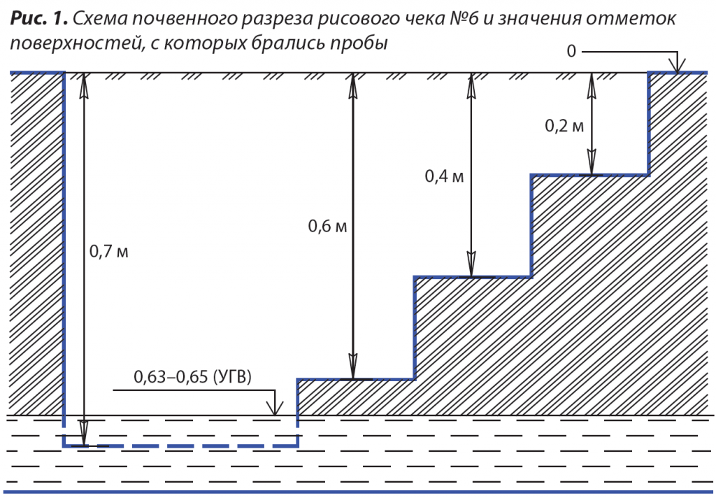 1. Схема почвенного разреза рисового чека.png