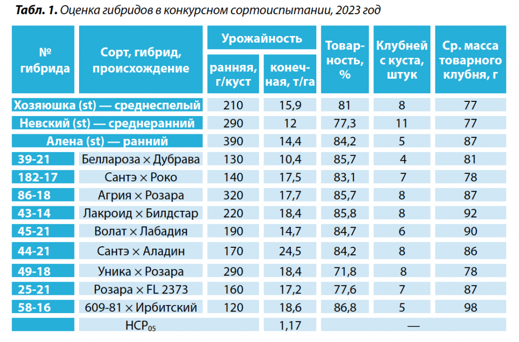 оценка гибридов картофеля.png