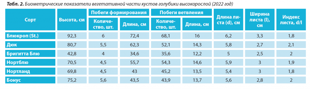 2. Биометрические показатели вегетативной части кустов голубики высокорослой.png