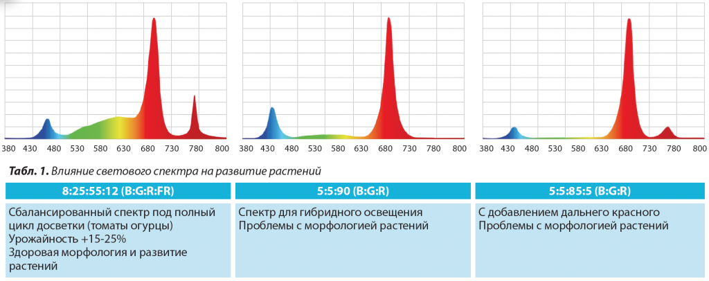 1. Влияние светового спектра на развитие растений.png