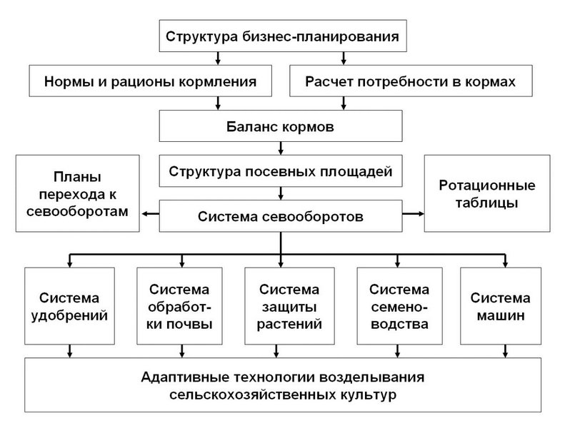 Структура мгу. Иерархия МГУ.